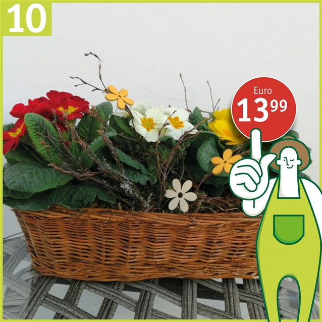 Späth Ihr Gartencenter in VillingenSchwenningen
