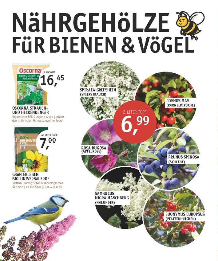 Späth Ihr Gartencenter in VillingenSchwenningen