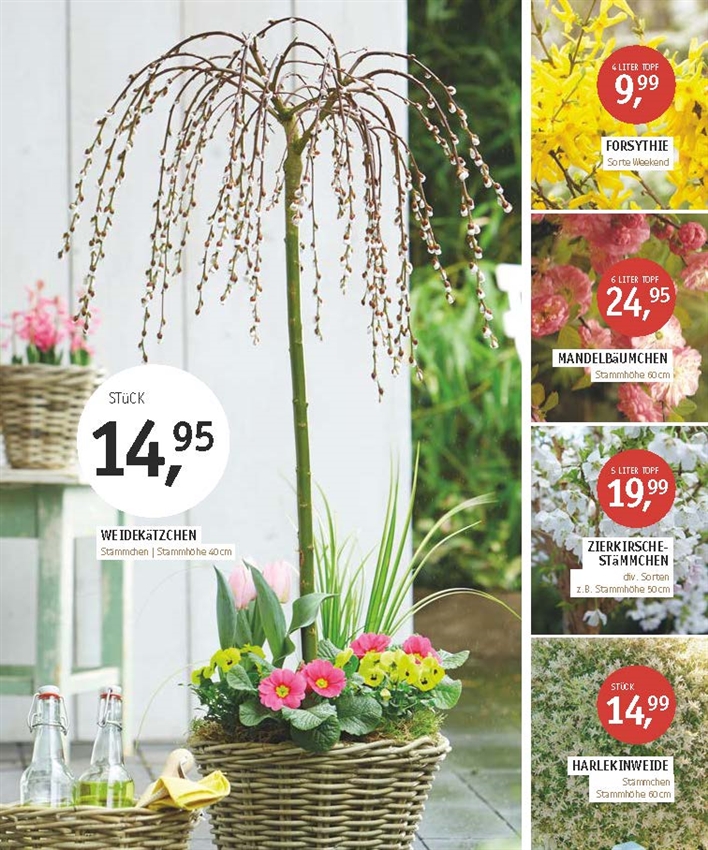 Späth Ihr Gartencenter in VillingenSchwenningen