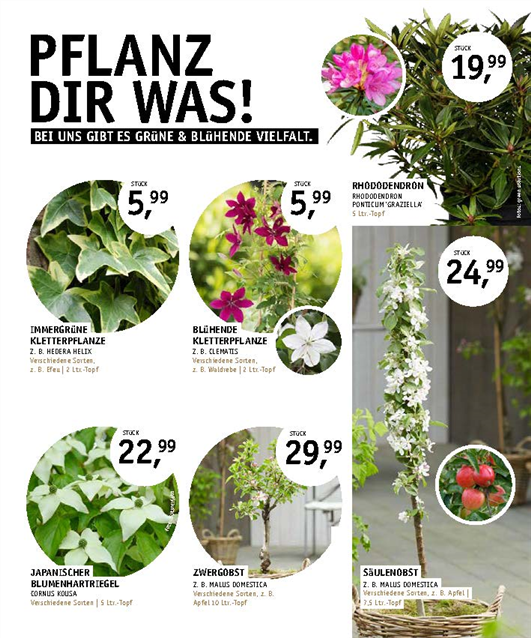 Angebote Gartencenter Späth