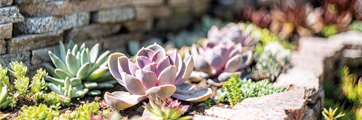 PFLEGELEICHT & ZEITLOS SCHöN! 