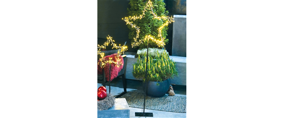 LICHTERBLICKE IM WINTER-GARTEN!