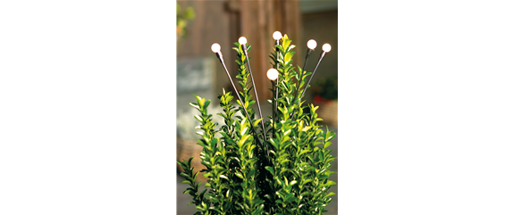 LICHTERBLICKE IM WINTER-GARTEN!