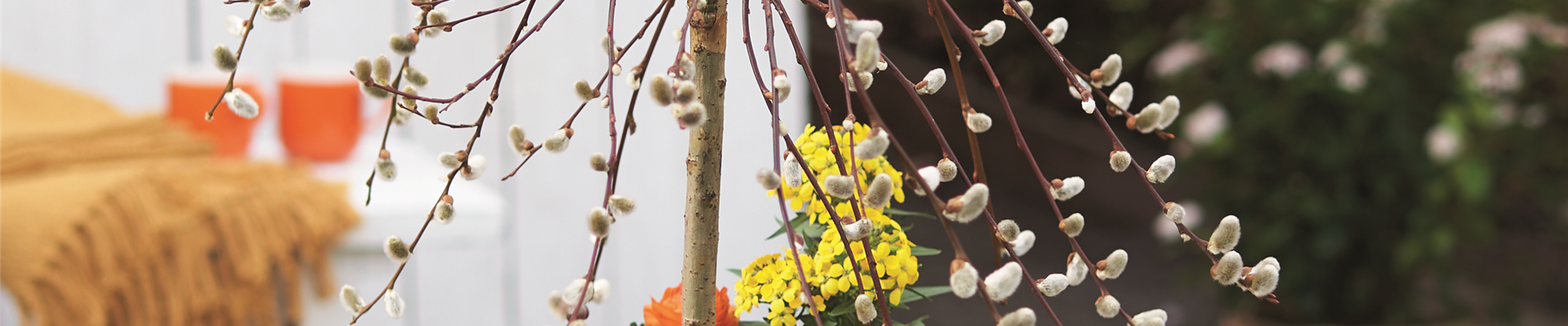 STARTKLAR FüR DEN FRüHLING!