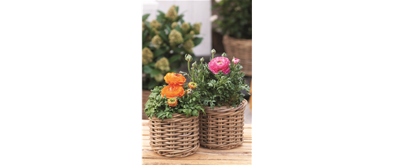 STARTKLAR FüR DEN FRüHLING!