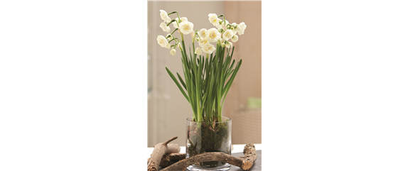 STARTKLAR FüR DEN FRüHLING!