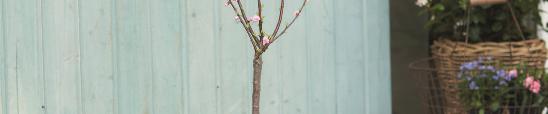 WILLKOMMEN FRÜHLING! 