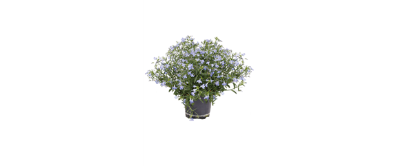 WILLKOMMEN FRÜHLING! 