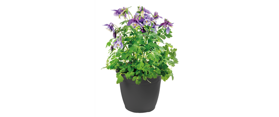 WILLKOMMEN FRÜHLING! 