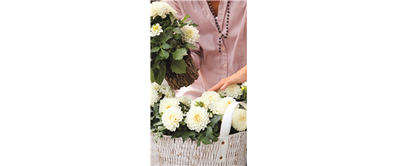 URLAUB AUF DEM BALKON! 