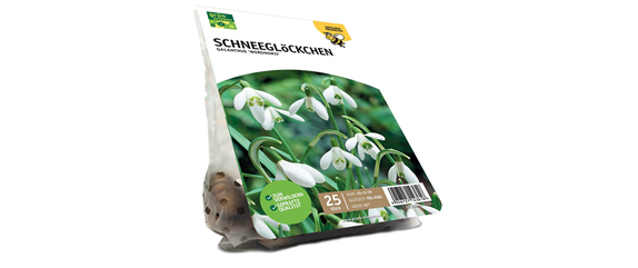 FRüHLING BEGINNT IM HERBST!