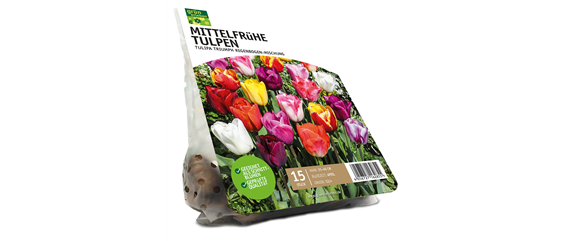 FRüHLING BEGINNT IM HERBST!
