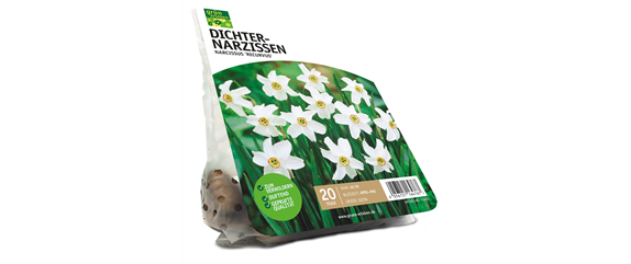 FRüHLING BEGINNT IM HERBST!
