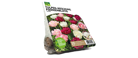 FRüHLING BEGINNT IM HERBST!