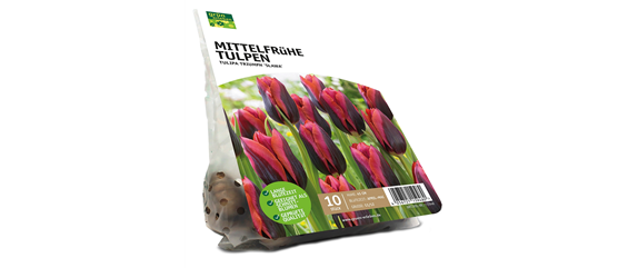 FRüHLING BEGINNT IM HERBST!
