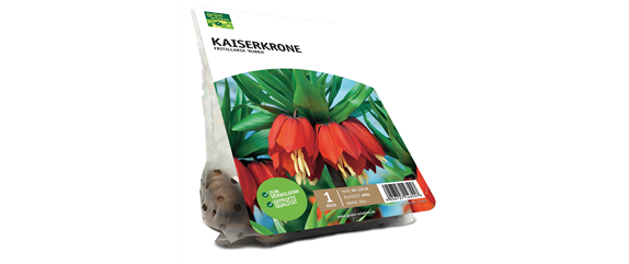 FRüHLING BEGINNT IM HERBST!