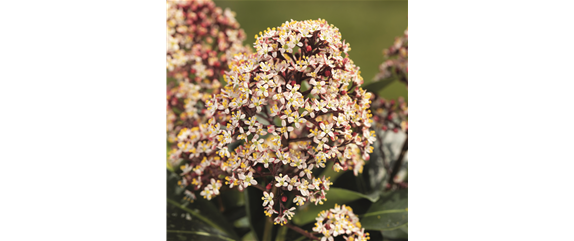 BUNTE HERBSTFREUDE!