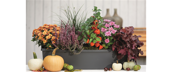 FARBEN VOLLER HERBSTGEFÜHL! 