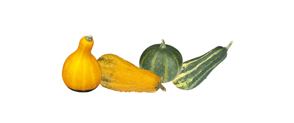 FARBEN VOLLER HERBSTGEFÜHL! 