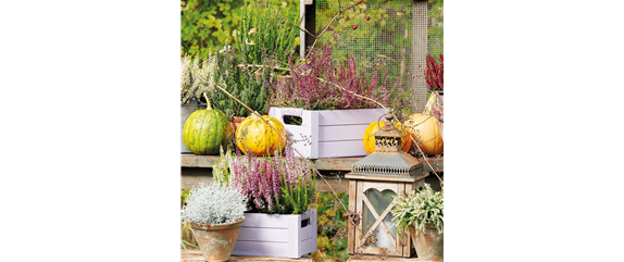 BUNTE HERBSTFREUDE!