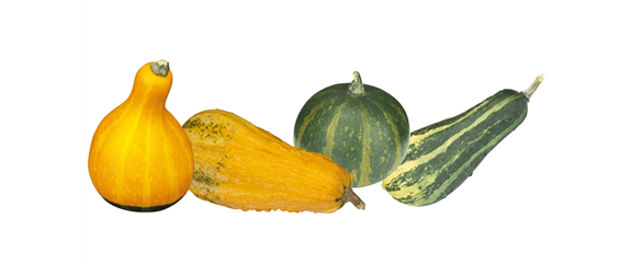 FARBEN VOLLER HERBSTGEFÜHL! 