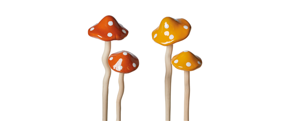 FARBEN VOLLER HERBSTGEFÜHL! 