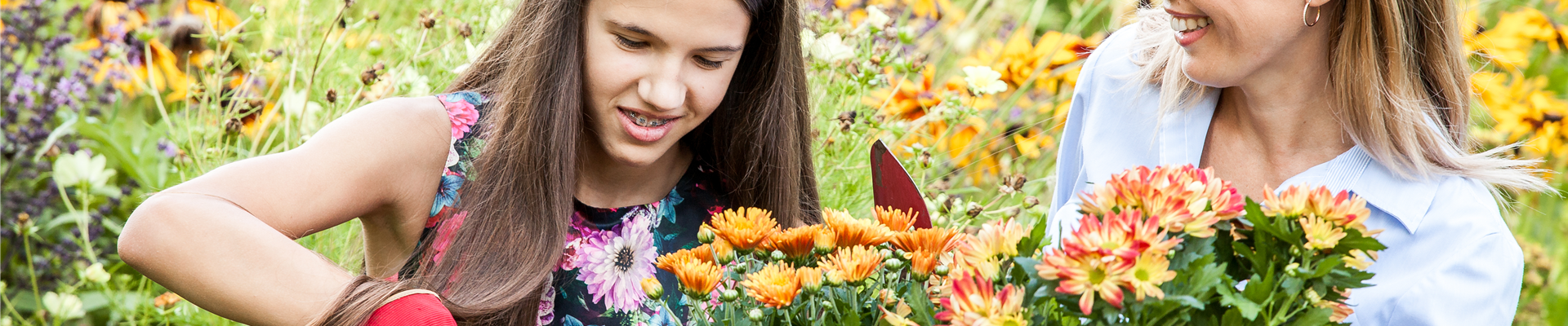 Pflanzen einpflanzen 