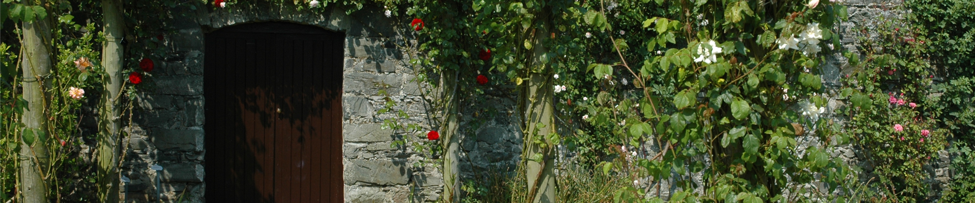 Pergola mit Kletterrosen