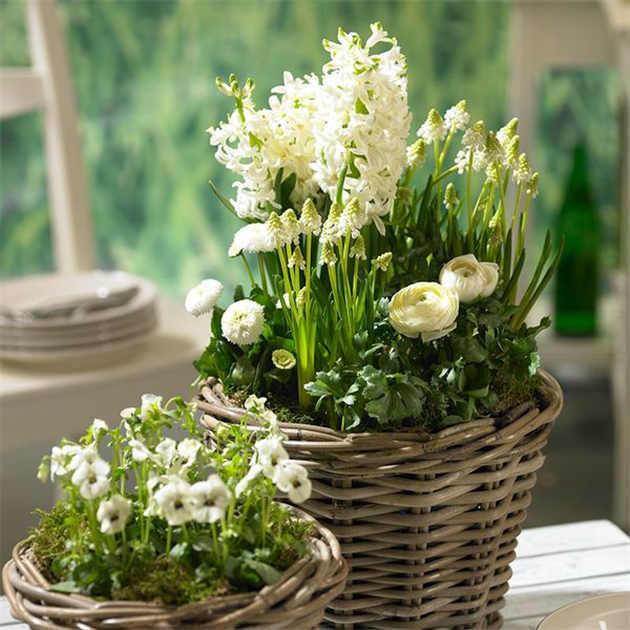 HOMFREEST Frühlingsgartenflagge – 30,5x45,7 Cm, Tulpen-Blumenmuster, Doppelseitig, Aus Polyester, Für Hof, Terrasse, Balkon