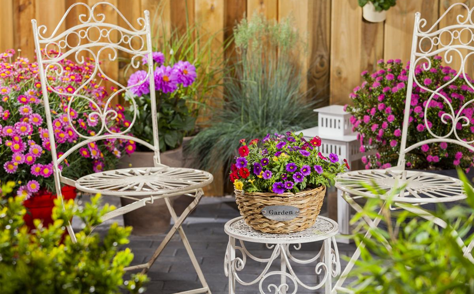 Balkon & Terrasse - Ein Blütenmeer