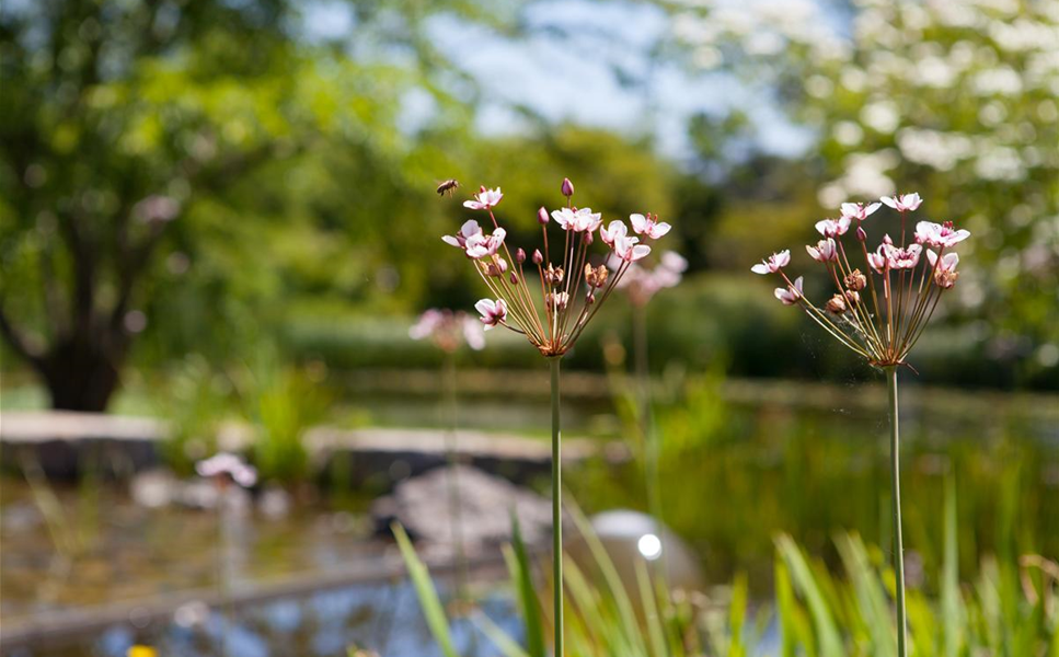 Wir sind - OASE Plus Händler