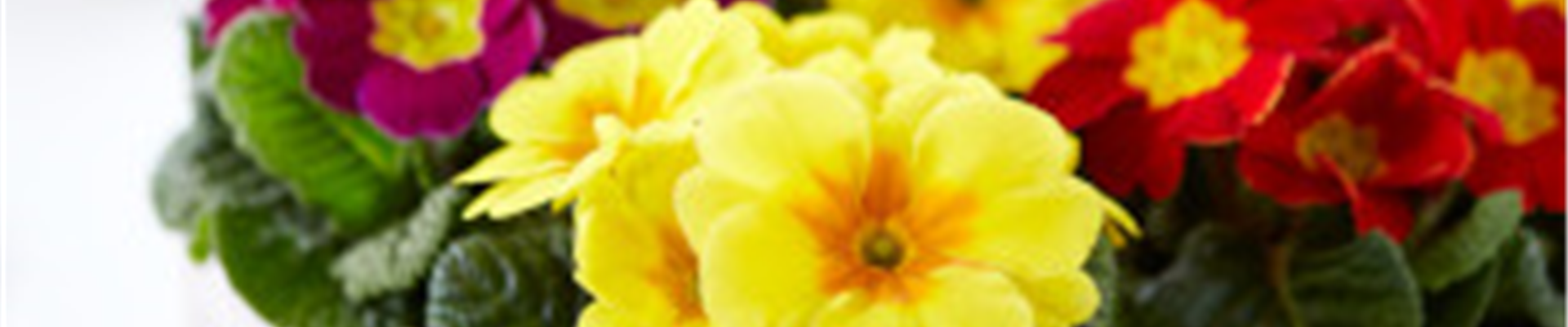 APRIL, APRIL – DER MACHT WAS ER WILL!