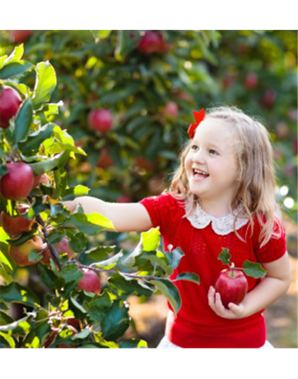 OBSTGARTEN FÜR KINDER