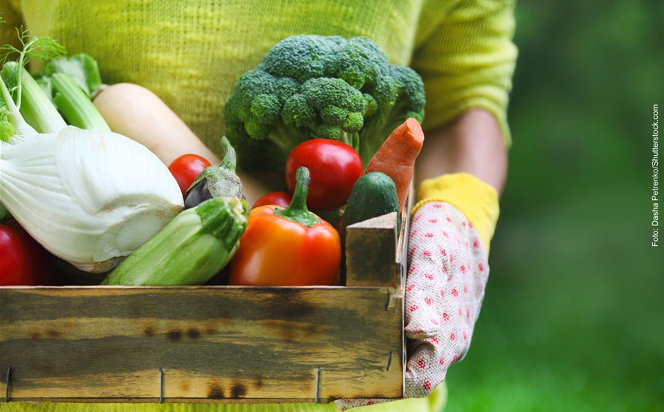 Nutzgarten - Einfach lecker