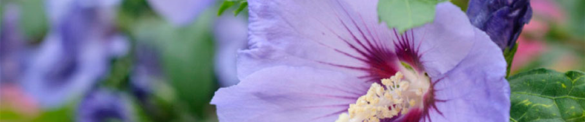 HIER FLIEGEN ALLE DRAUF!