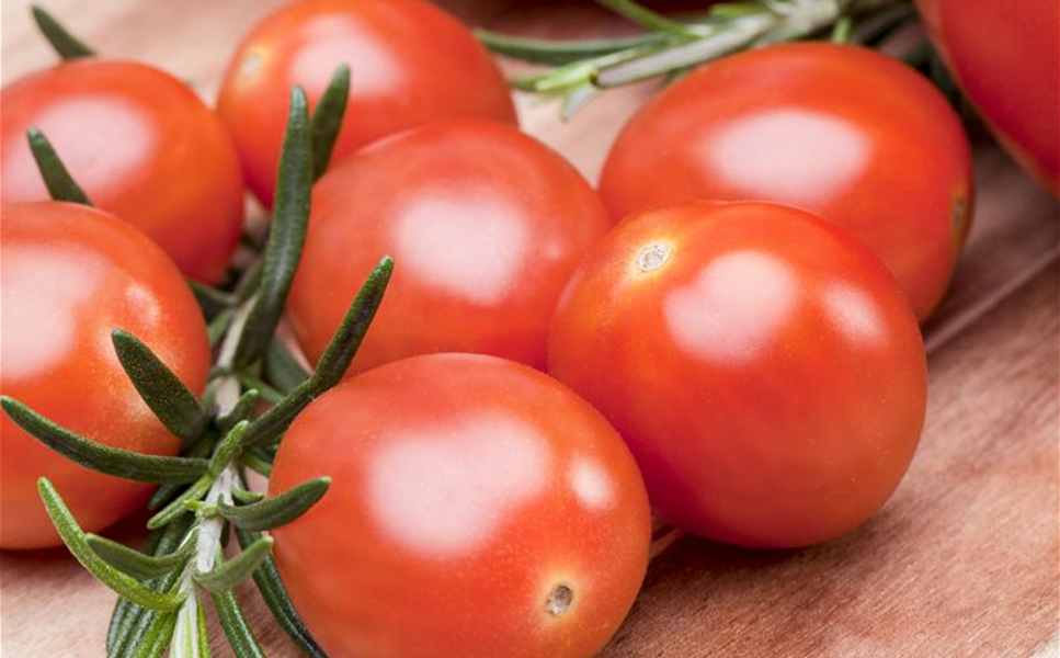 Nutzgarten - Leckereine aus dem Garten! Nutzgarten - Leckereine aus dem Garten!
