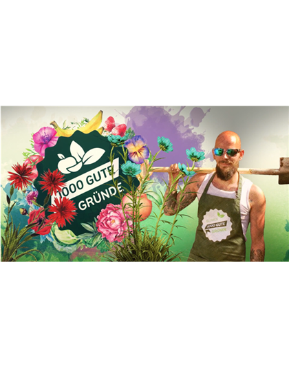 CHRISTROSEN PFLANZEN UND PFLEGEN