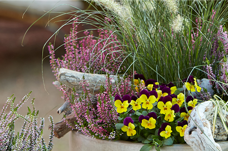 TERRASSENTRENDS IM HERBST