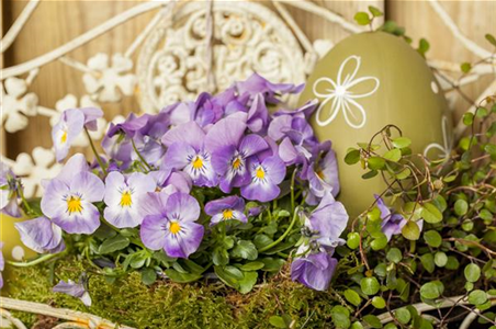 BUNTES OSTERFEST MIT FRüHLINGSBOTEN!