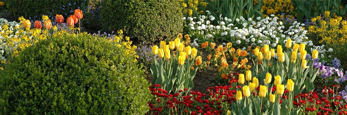 EINE TüTE VOLL FRüHLING!