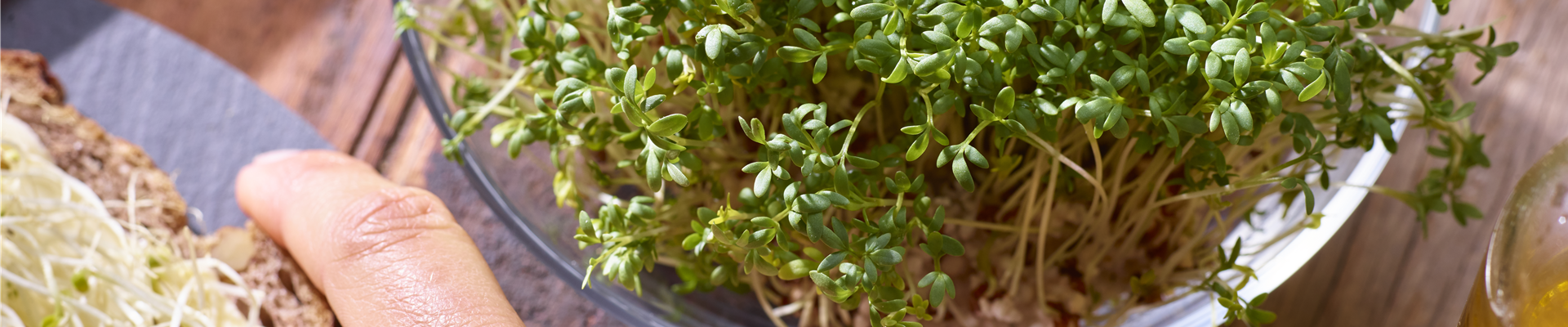 Grüner Daumen trifft Gartenjahr
