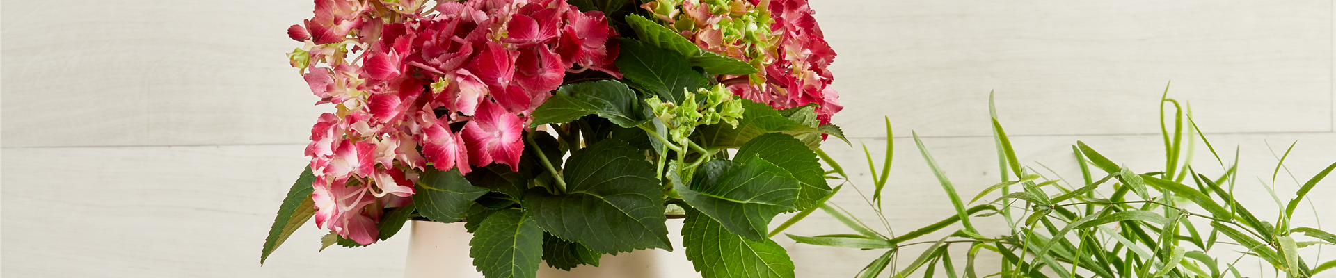 WER IST DIE SCHöNSTE IM LAND?