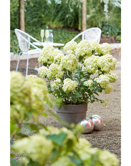 AUSZEIT IM GARTEN!