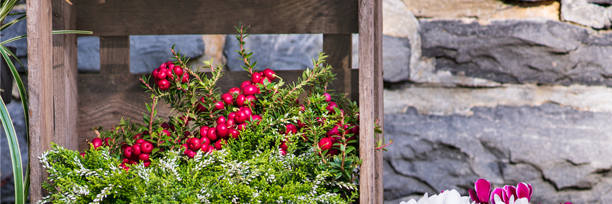 DIE FARBEN DES HERBSTES!