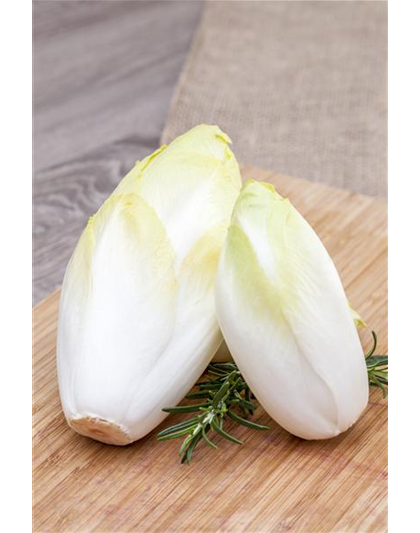 HERBSTSALATE HERBSTSALATE
