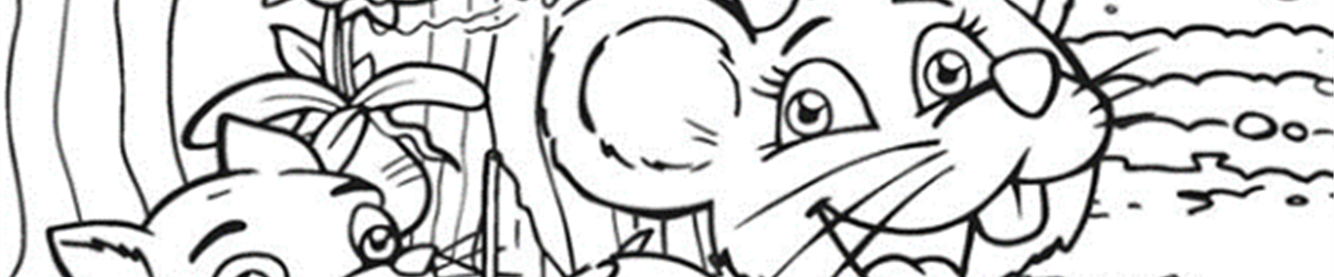 Grünschnabel Malvorlage 1