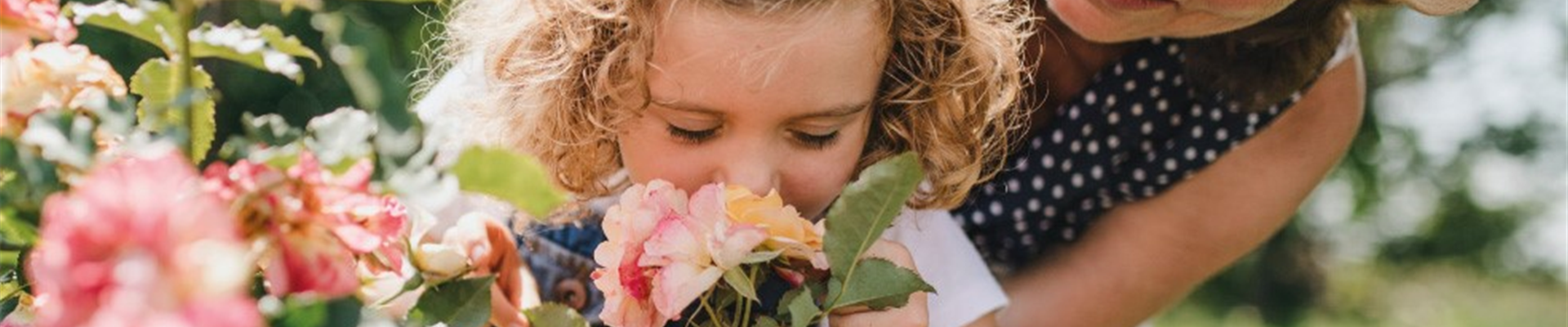 VOLLE BLüTE, VOLLER DUFT!