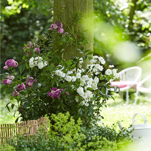 WILDER BAUERNGARTEN!