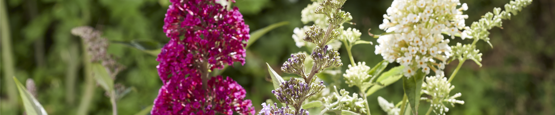 ROMANTISCH ENTSPANNEN! 