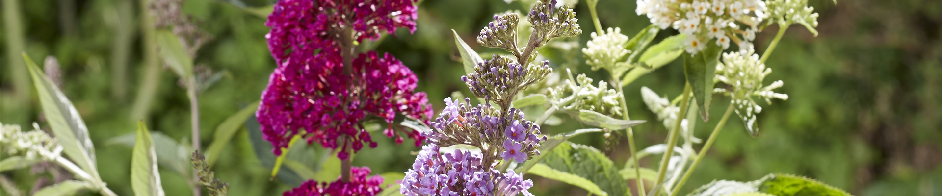 ROMANTISCH ENTSPANNEN! 